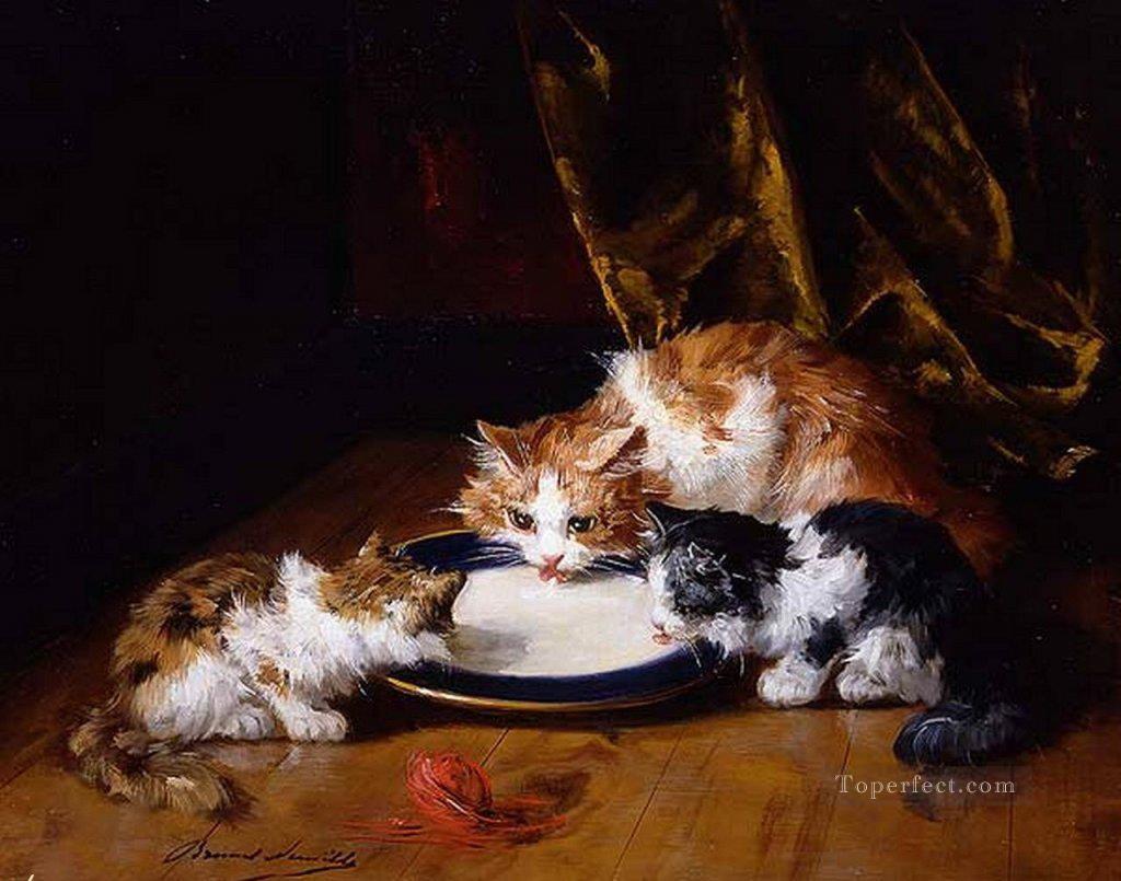 Alfred Brunel de Neuville drei Katzen saugen Milch Ölgemälde